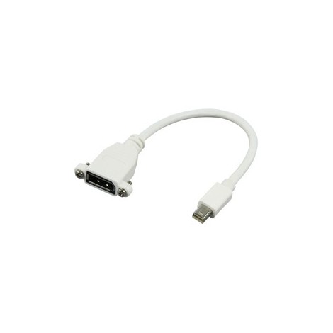 Mini DisplayPort naar DisplayPort