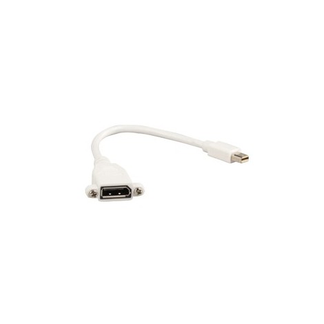 Mini DisplayPort naar DisplayPort